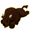 Biscuit