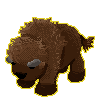 Poggy
